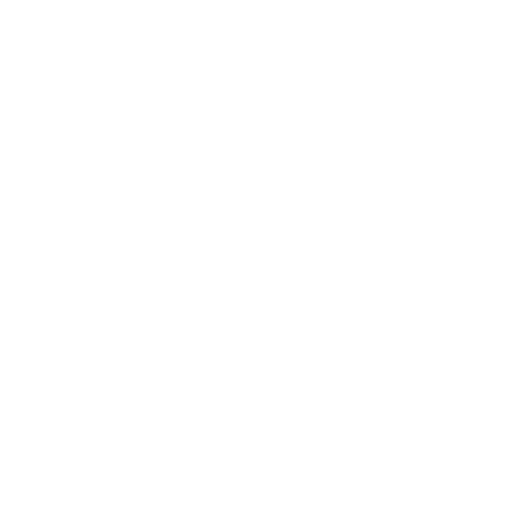 logo bianco-2
