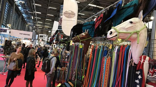 fiere cavalli